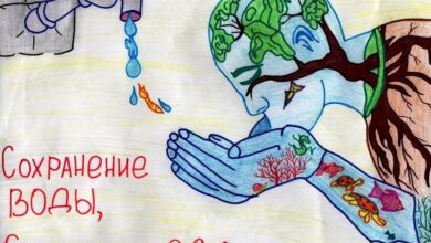 Photo of Эффективное использование воды в инженерии